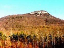 Mt Yonah